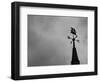 Weathervane-null-Framed Photographic Print