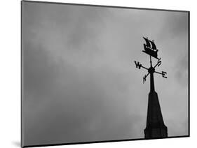 Weathervane-null-Mounted Photographic Print