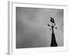 Weathervane-null-Framed Photographic Print