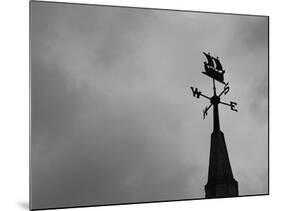 Weathervane-null-Mounted Photographic Print