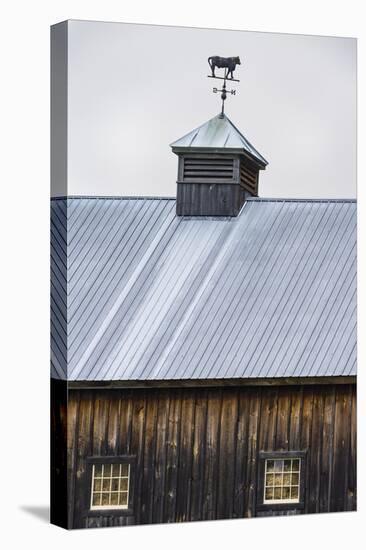 Weathervane-Brenda Petrella Photography LLC-Stretched Canvas