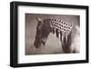 Weave-Susan Friedman-Framed Photographic Print