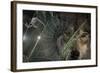 Web and Wolf-Gordon Semmens-Framed Photographic Print