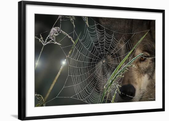 Web and Wolf-Gordon Semmens-Framed Photographic Print