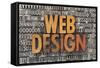 Web Design-PixelsAway-Framed Stretched Canvas