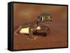 Web-footed Gecko, Namib National Park, Namibia-Art Wolfe-Framed Stretched Canvas