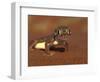 Web-footed Gecko, Namib National Park, Namibia-Art Wolfe-Framed Photographic Print