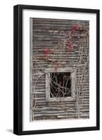 Web of Branches - Vertical-Michael Blanchette Photography-Framed Giclee Print