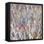 Web Of Branches-Ruth Palmer-Framed Stretched Canvas