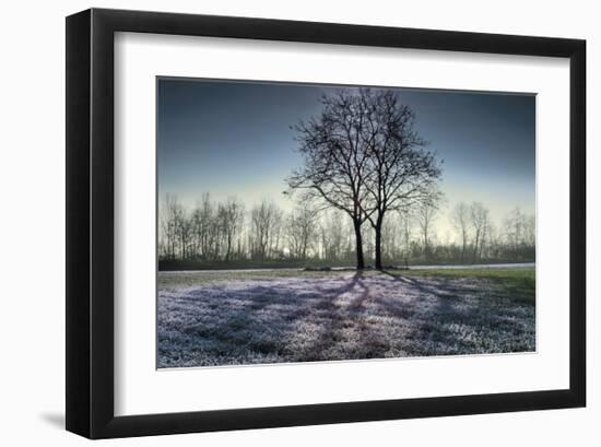 Web of Light-Paolo De Faveri-Framed Giclee Print