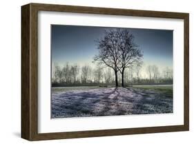 Web of Light-Paolo De Faveri-Framed Giclee Print