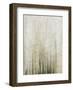 Web-Candice Alford-Framed Giclee Print