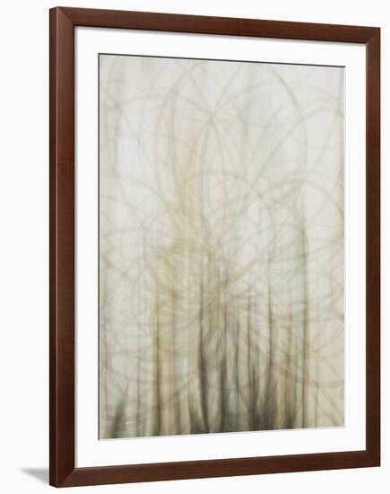 Web-Candice Alford-Framed Art Print