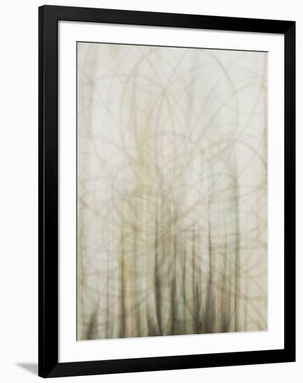 Web-Candice Alford-Framed Art Print