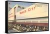 Webb's City Drug Store, St. Petersburg, Florida-null-Framed Stretched Canvas