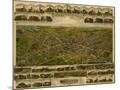 Wood Mount