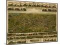 Wood Mount