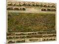 Wood Mount