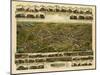 Webster, Massachusetts - Panoramic Map-Lantern Press-Mounted Art Print