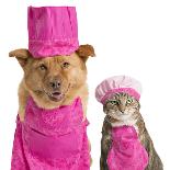 Dog and Cat Ready for Cooking-websubstance-Laminated Photographic Print