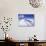 Weddell Fur Seal and Ice Formations, Antarctica-William Sutton-Photographic Print displayed on a wall