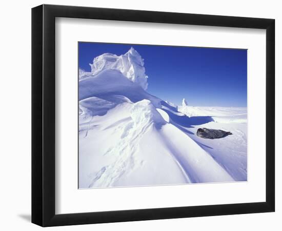 Weddell Fur Seal and Ice Formations, Antarctica-William Sutton-Framed Photographic Print