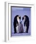 Weddell Sea, Riiser-Larsen Ice Shelf, Emperor Penguins and Chick, Antarctica-Allan White-Framed Premium Photographic Print