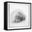 Weddell Seal, Deception Island, Antarctica-Paul Souders-Framed Stretched Canvas