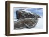 Weddell Seal on Deception Island, Antarctica-Paul Souders-Framed Photographic Print