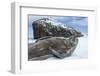 Weddell Seal on Deception Island, Antarctica-Paul Souders-Framed Photographic Print