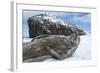 Weddell Seal on Deception Island, Antarctica-Paul Souders-Framed Photographic Print