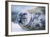 Weddell Seal-Paul Souders-Framed Photographic Print