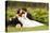 Wedding, Beautiful Young Bride Lying Together with Groom in Love on Green Grass Kissing-khorzhevska-Stretched Canvas