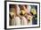 Wedding Bouquet Flower Arrangement-mrorange002-Framed Photographic Print