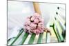 Wedding Bouquet of White Peonies-tanialerro-Mounted Photographic Print