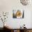 Wedding Bread, Crete, Greek Islands, Greece-Adam Tall-Photographic Print displayed on a wall
