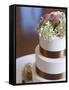 Wedding Cake Closeup-aastock-Framed Stretched Canvas