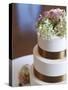 Wedding Cake Closeup-aastock-Stretched Canvas