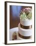 Wedding Cake Closeup-aastock-Framed Photographic Print