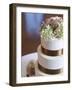 Wedding Cake Closeup-aastock-Framed Photographic Print