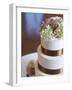 Wedding Cake Closeup-aastock-Framed Photographic Print