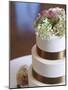 Wedding Cake Closeup-aastock-Mounted Photographic Print