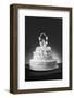 Wedding Cake-null-Framed Photographic Print