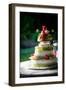 Wedding Cake-mrorange002-Framed Photographic Print