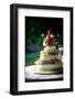 Wedding Cake-mrorange002-Framed Photographic Print
