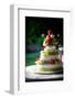 Wedding Cake-mrorange002-Framed Photographic Print