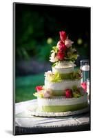 Wedding Cake-mrorange002-Mounted Photographic Print