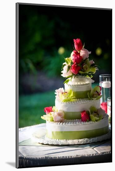 Wedding Cake-mrorange002-Mounted Photographic Print