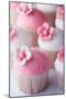 Wedding Cupcakes-Ruth Black-Mounted Photographic Print