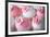 Wedding Cupcakes-Ruth Black-Framed Photographic Print